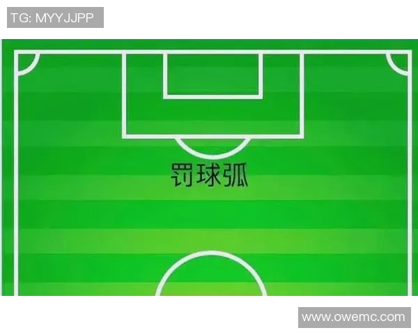 足球赛的精彩瞬间与战术分析全方位解读及历史数据回顾